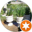 Ratinho Carioca profile picture